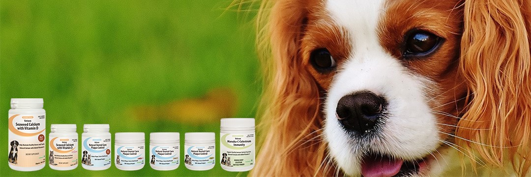 Home Page - Vetnex natural animal care products